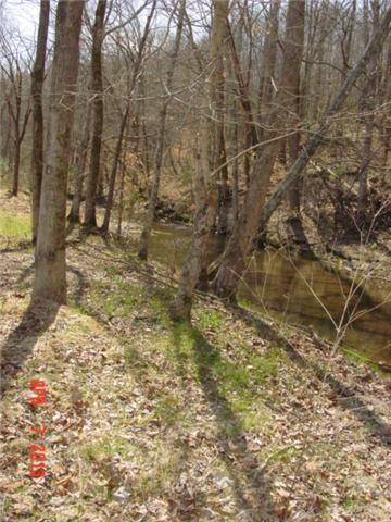 0 Willie's Branch Road Centerville, TN 37033 - Photo 2 of 20 Gallery Image 2