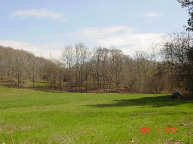 0 Willie's Branch Road Centerville, TN 37033 - Photo 3 of 20 Gallery Image 3