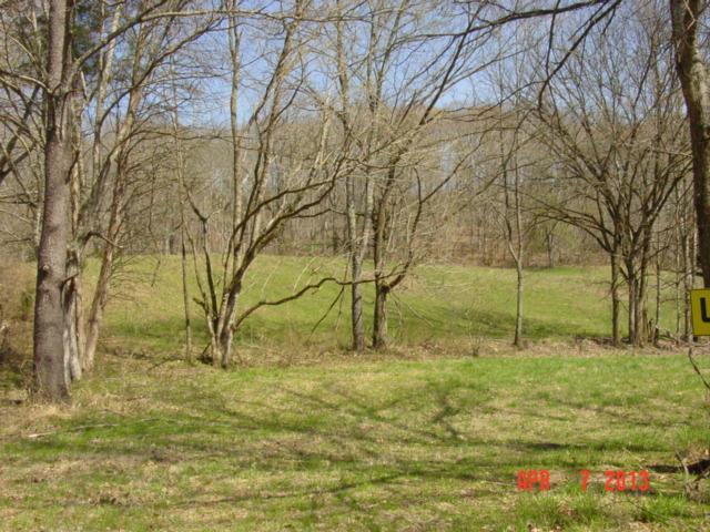 0 Willie's Branch Road Centerville, TN 37033 - Photo 4 of 20 Gallery Image 4
