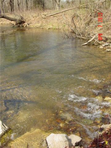 0 Willie's Branch Road Centerville, TN 37033 - Photo 5 of 20 Gallery Image 5