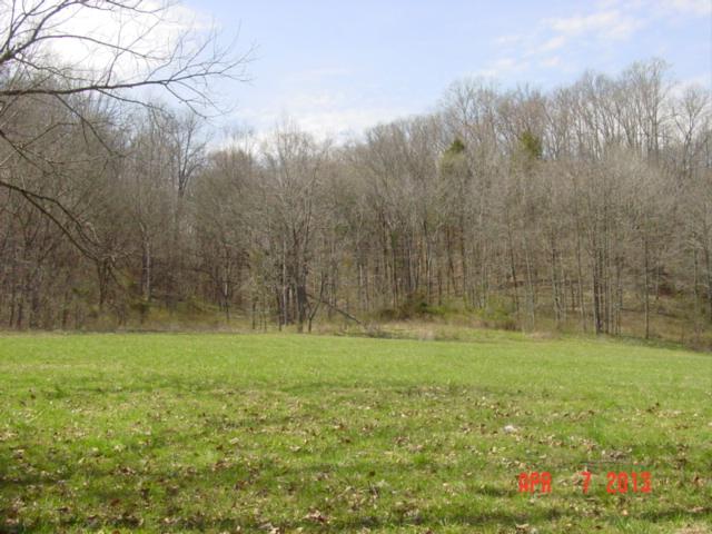 0 Willie's Branch Road Centerville, TN 37033 - Photo 7 of 20 Gallery Image 7