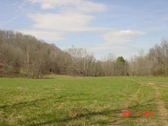 0 Willie's Branch Road Centerville, TN 37033 - Photo 8 of 20 Gallery Image 8