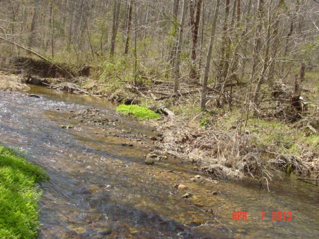 0 Willie's Branch Road Centerville, TN 37033 - Photo 9 of 20 Gallery Image 9