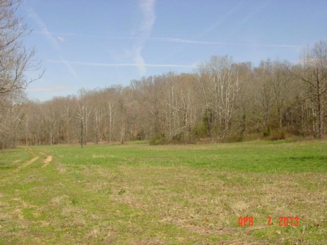 0 Willie's Branch Road Centerville, TN 37033 - Photo 10 of 20 Gallery Image 10