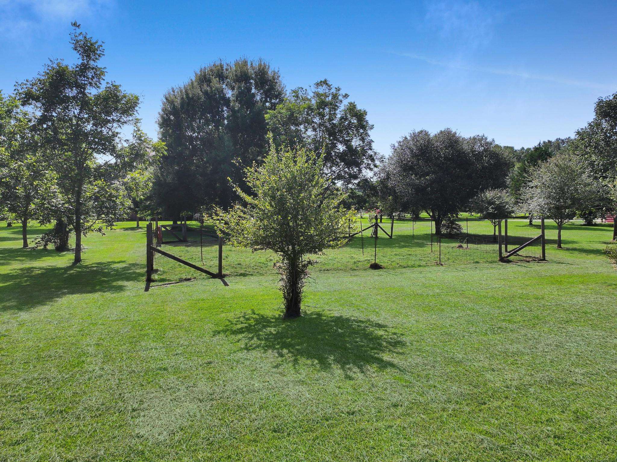 738 Parish Road Orange, TX 77632 - Photo 38 of 45 a view of park with benches
