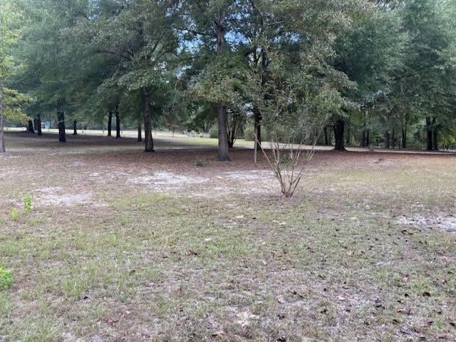 19329 Ray Armstrong Road Andalusia, AL 36421 - Photo 35 of 38 Gallery Image 35