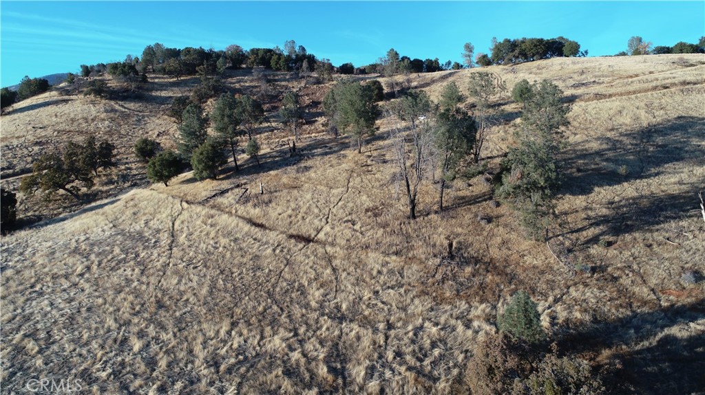 21 Bumguardner Mountain Road Mariposa, CA 95338 - Photo 6 of 10 a view of a dry field with trees in the background