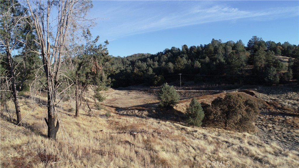 21 Bumguardner Mountain Road Mariposa, CA 95338 - Photo 10 of 10 a view of outdoor space with trees