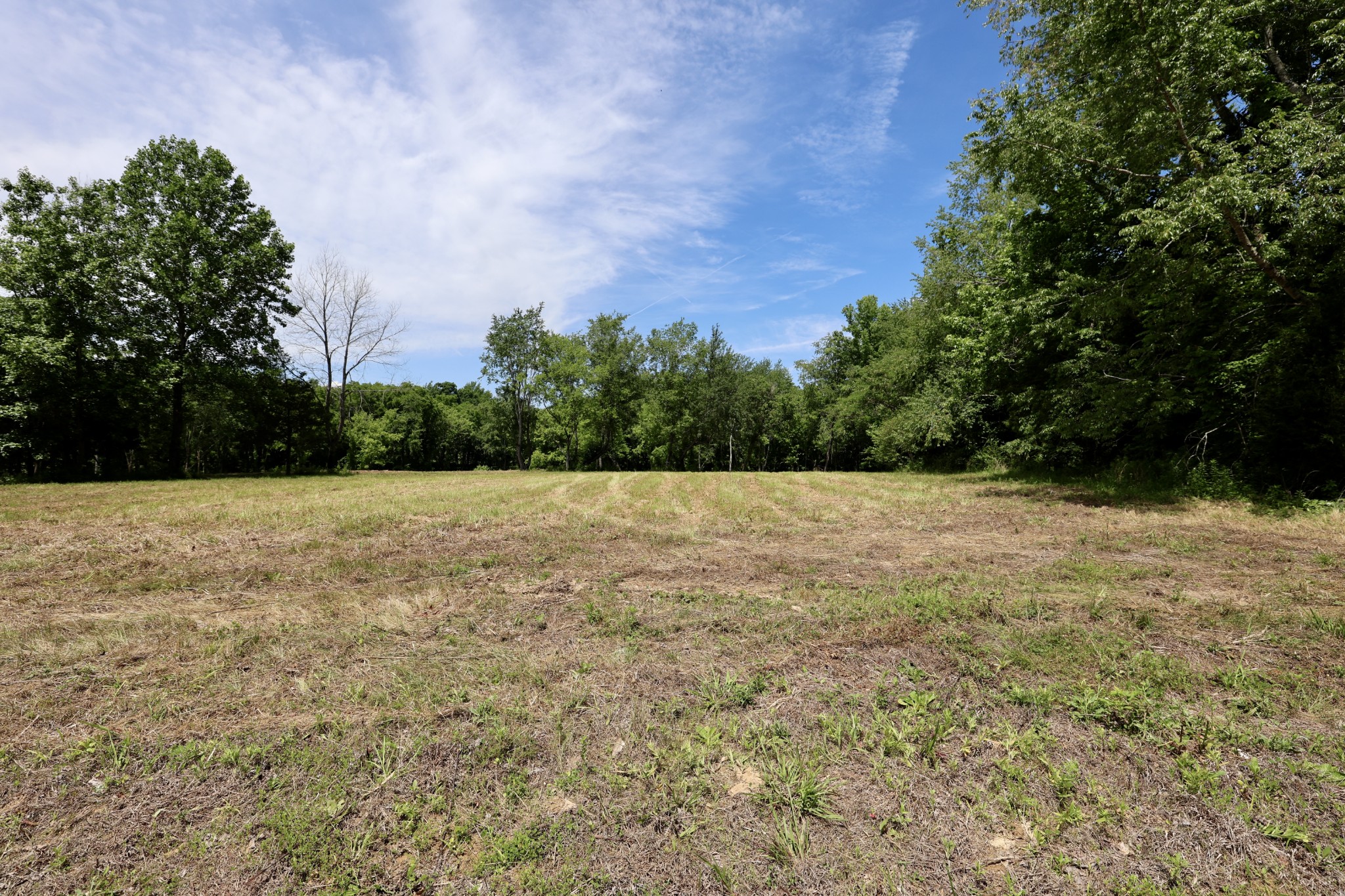 5 Poplar Ridge Lane Chapmansboro, TN 37035 - Photo 33 of 34 a backyard of a house with lots of green space