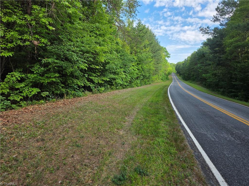 Xx 31.85-ac Xx 31.85-ac Hampton Road Germanton, NC 27019 - Photo 3 of 33