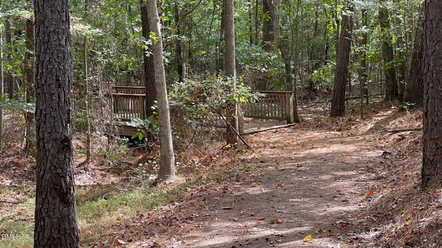 a view of a trees with yard