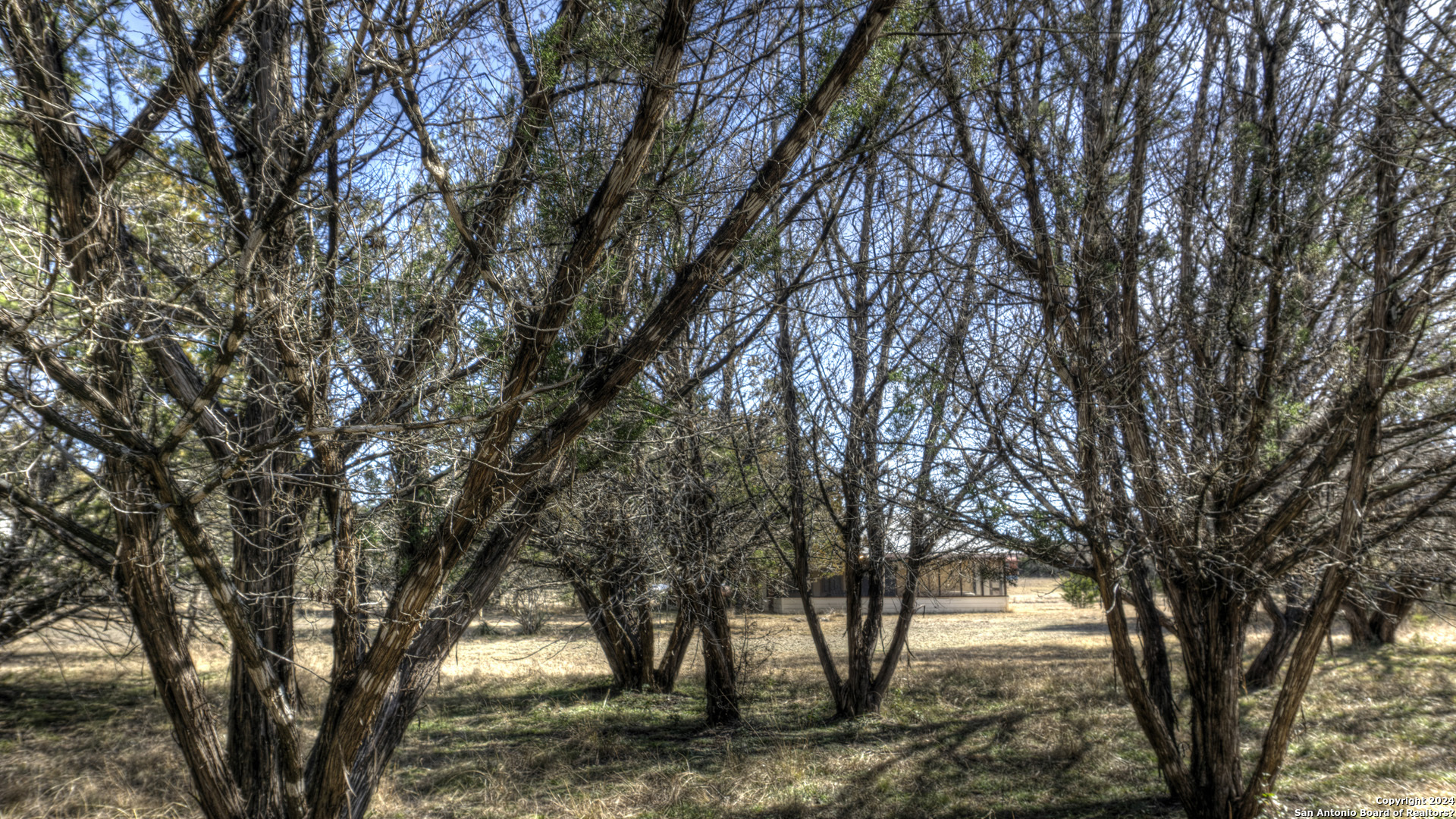 22 Squirrel Bend Uvalde, TX 78801 - Photo 13 of 47