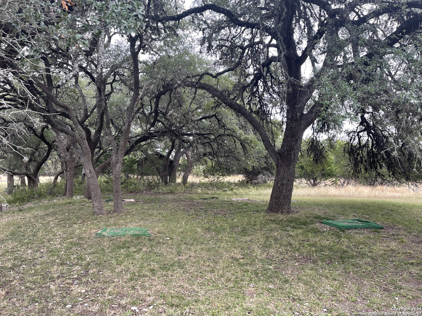 22 Squirrel Bend Uvalde, TX 78801 - Photo 39 of 47 a view of a yard with a tree