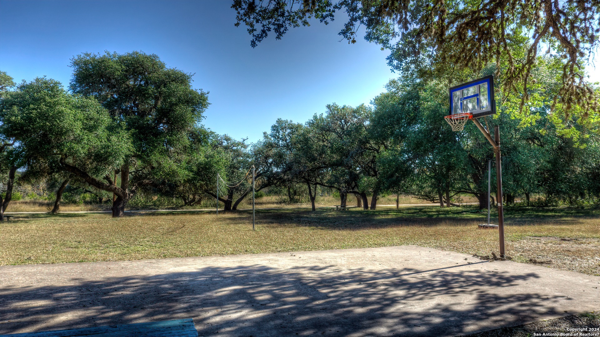 22 Squirrel Bend Uvalde, TX 78801 - Photo 45 of 47 a view of a yard with a tree