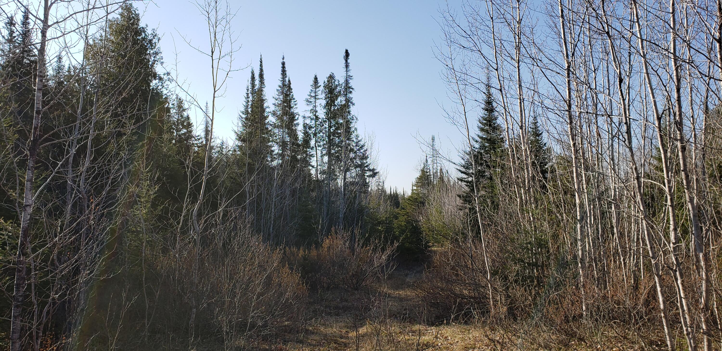 North Point Road Alpena, MI 49707 - Photo 11 of 25 Gallery Image 11