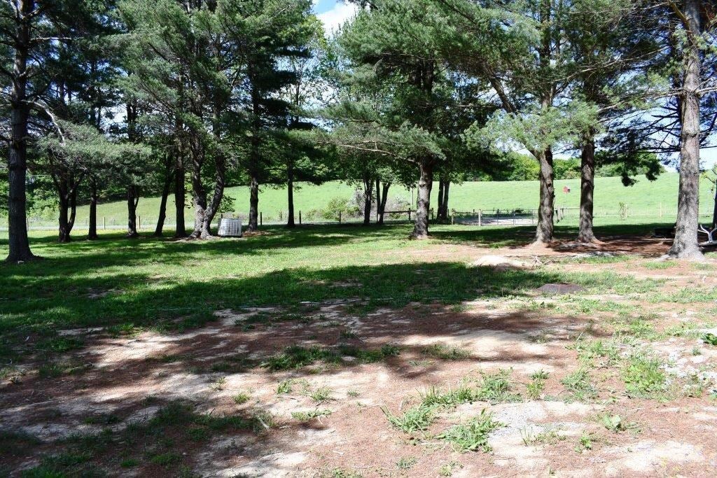 823 Nutmeg Lane Rural Retreat, VA 24368 - Photo 54 of 56 Gallery Image 54
