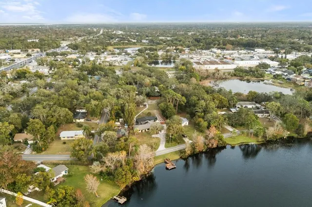 a view of a yard with plants