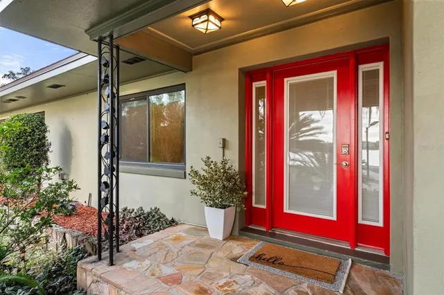 a potted plant in front of a door