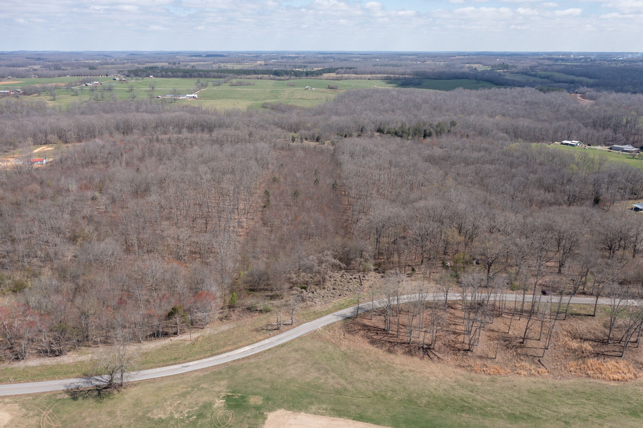 0 Brace Road North Summertown, TN 38483 - Photo 13 of 21 Gallery Image 13