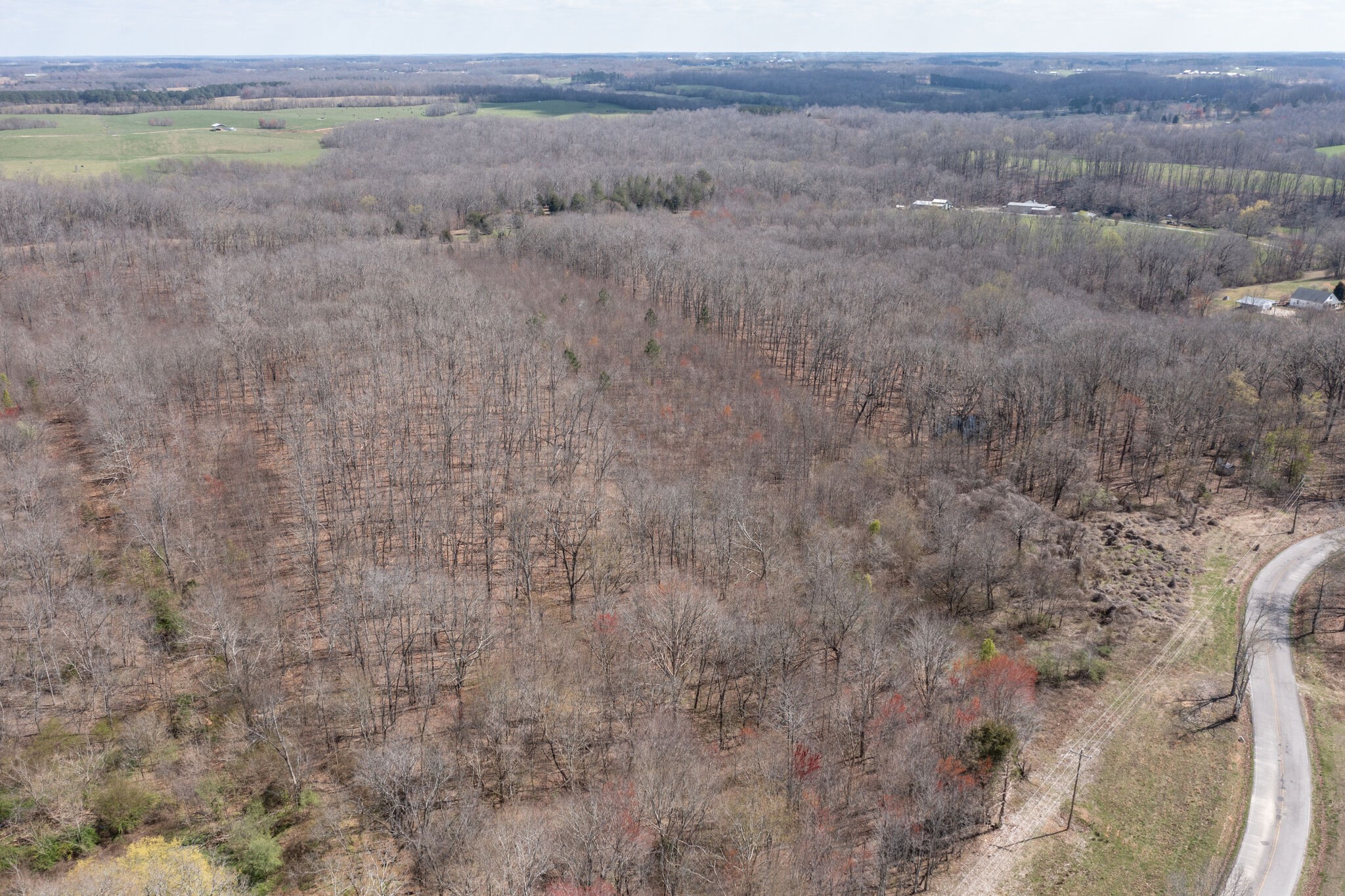 0 Brace Road North Summertown, TN 38483 - Photo 14 of 21 Gallery Image 14