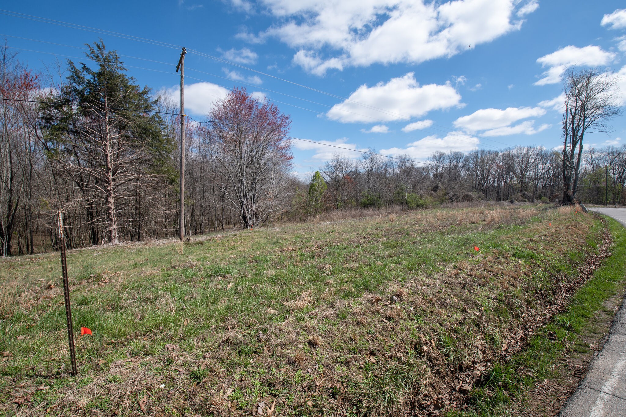 0 Brace Road North Summertown, TN 38483 - Photo 17 of 21 Gallery Image 17