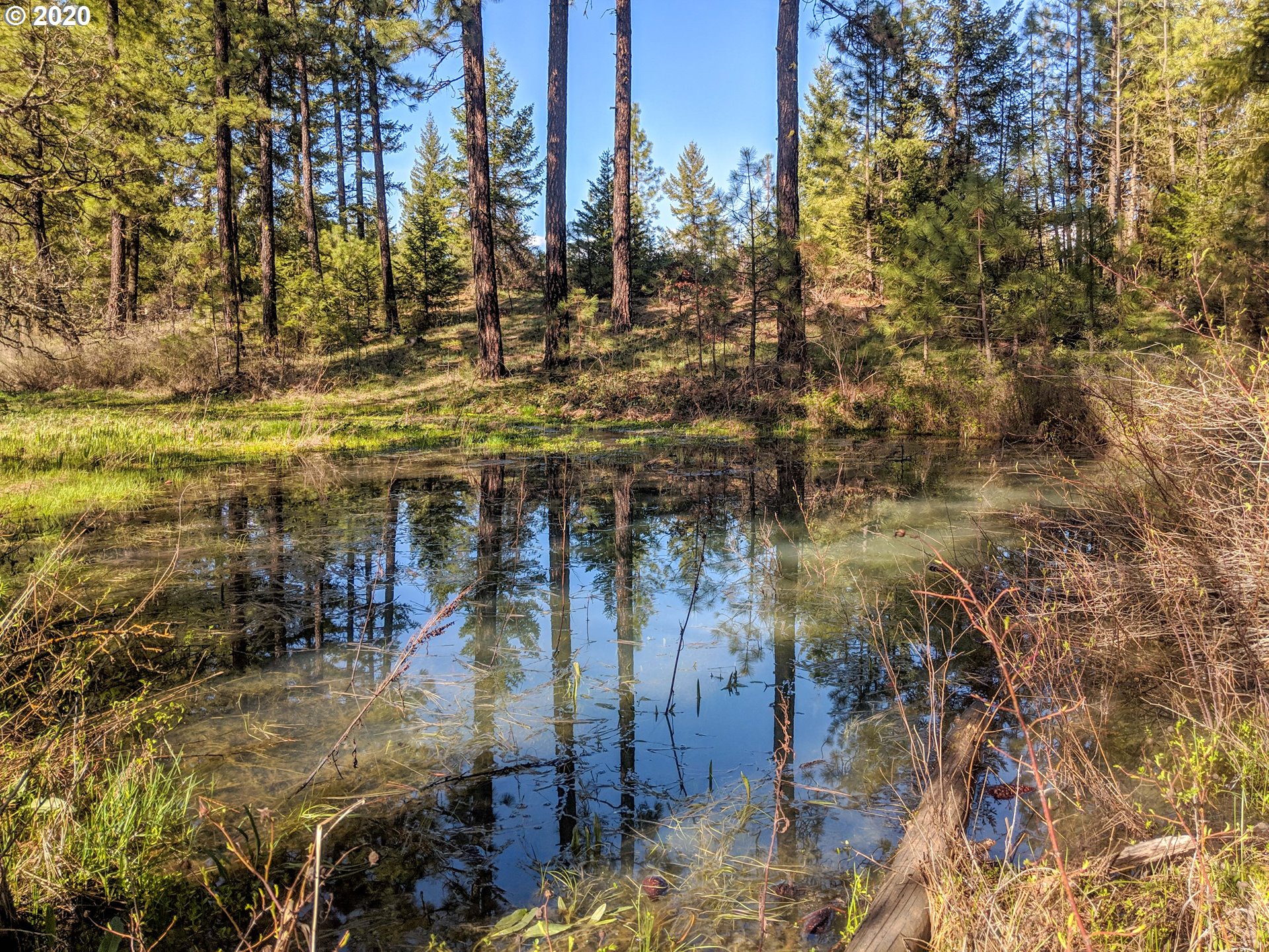 North Garrison Road Goldendale, WA 98620 - Photo 1 of 11 Gallery Image 1