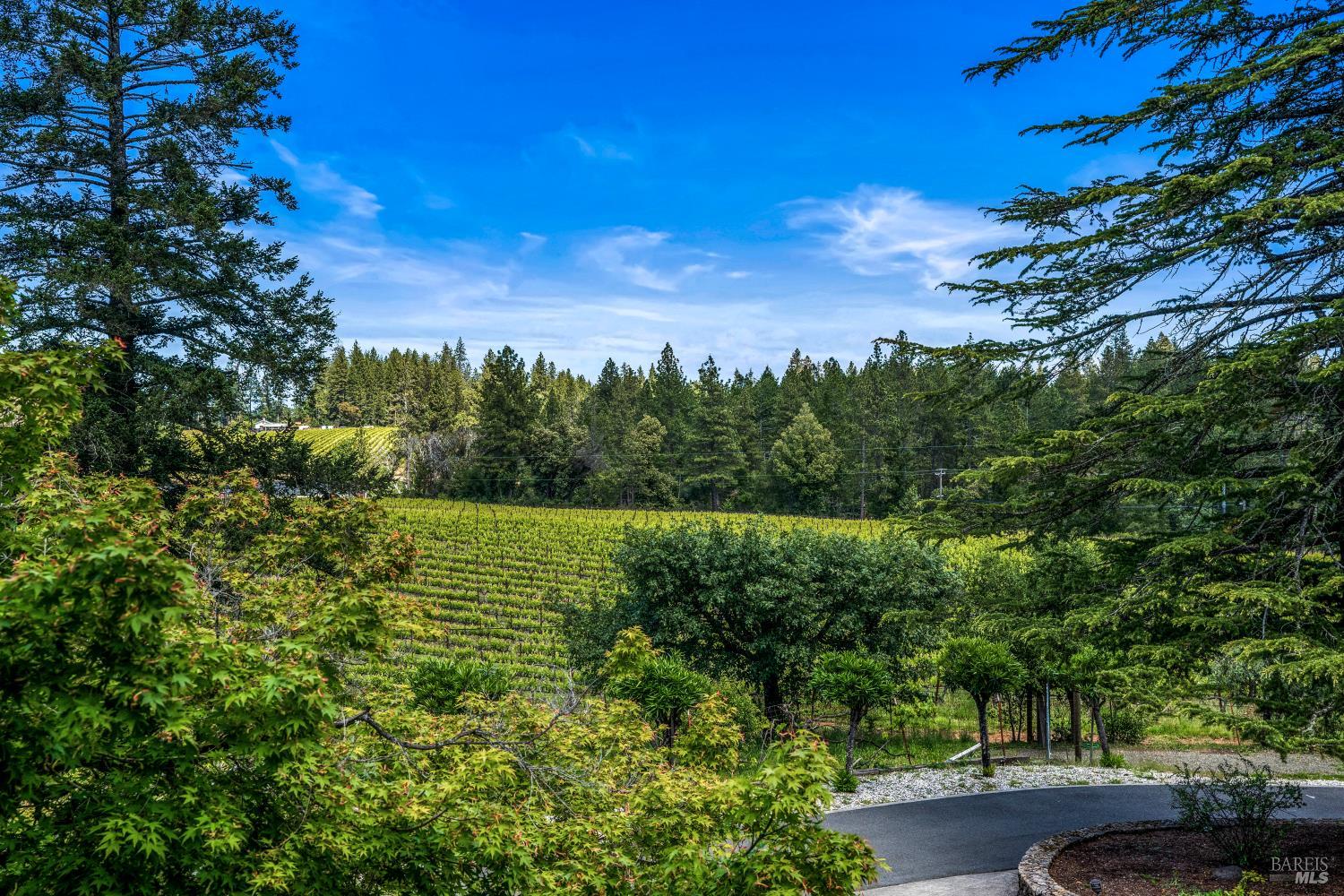 625-629 Hill Road Angwin, CA 94508 - Photo 6 of 64 a view of a yard