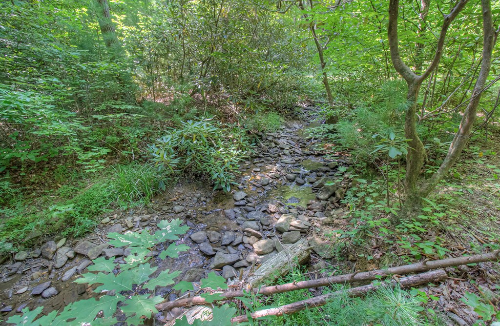 142 Rivendell Lane Tellico Plains, TN 37385 - Photo 14 of 57 Gallery Image 14