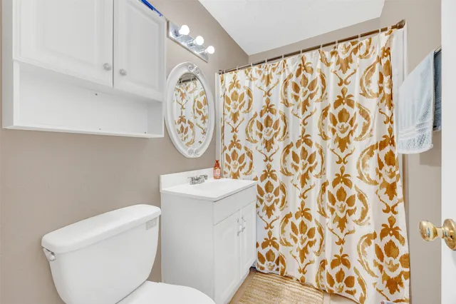 a white toilet sitting next to a shower curtain