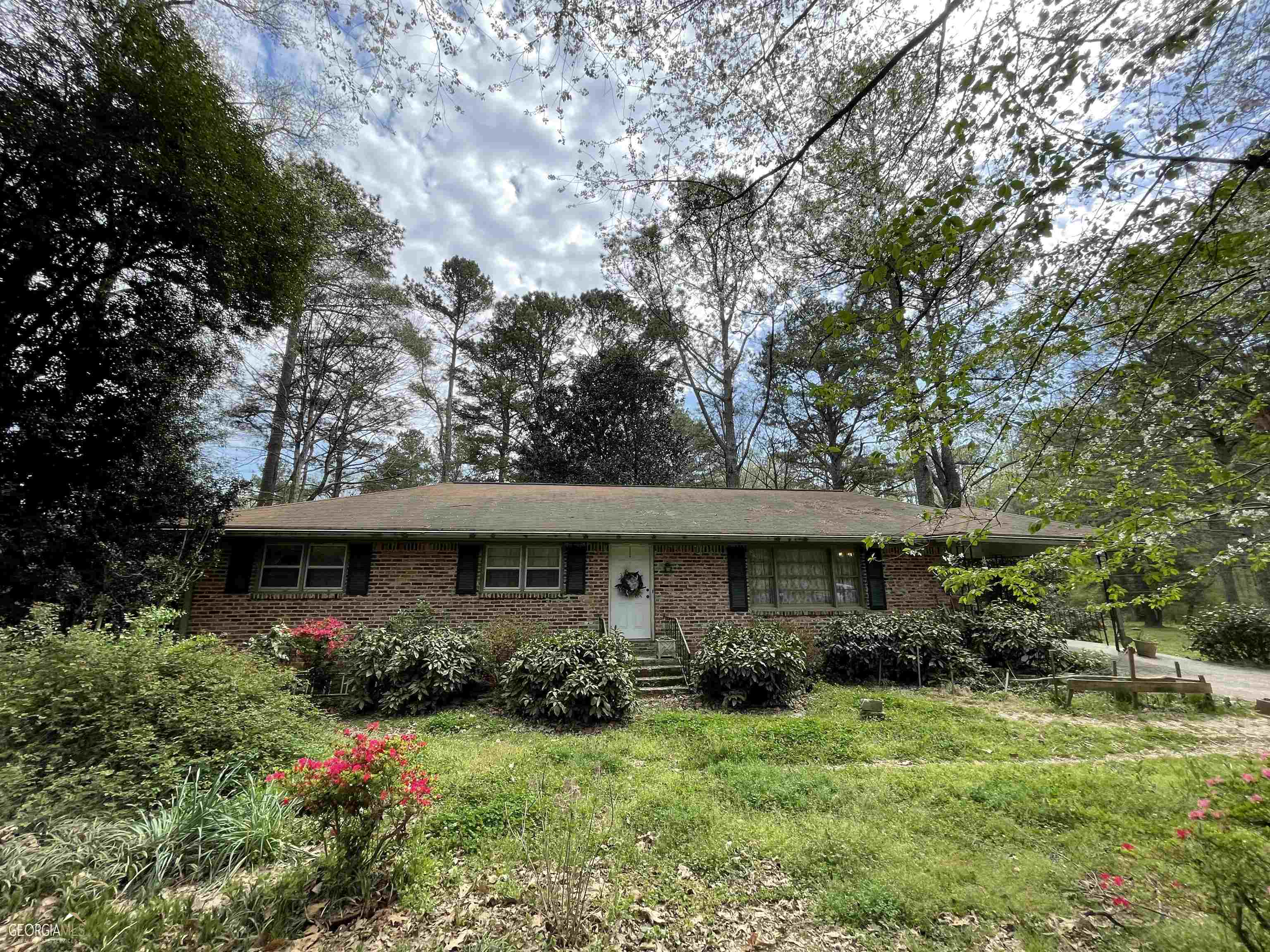 a view of a house with a yard plants and large trees