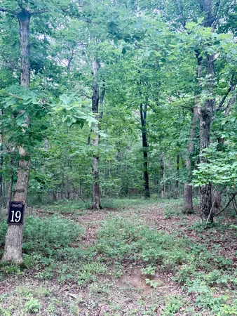 $125,000 | 0 Deepwoods Road, Sewanee, TN 37375