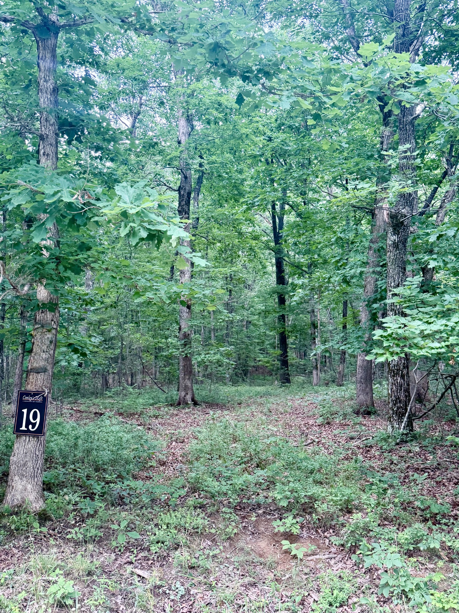 0 Deepwoods Road Sewanee, TN 37375 - Photo 1 of 8