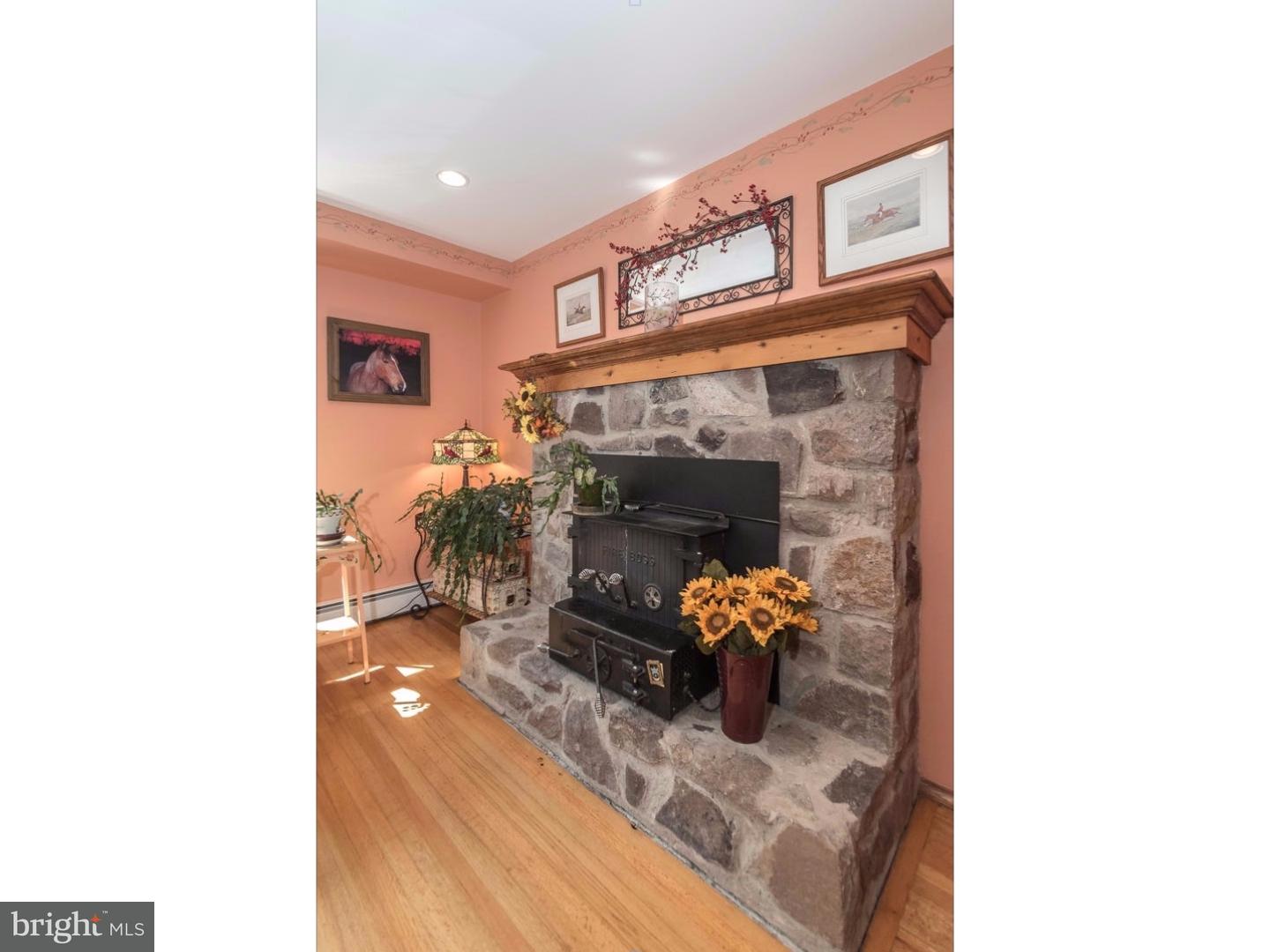 105 Municipal Road Pipersville, PA 18947 - Photo 11 of 25 Fireplace