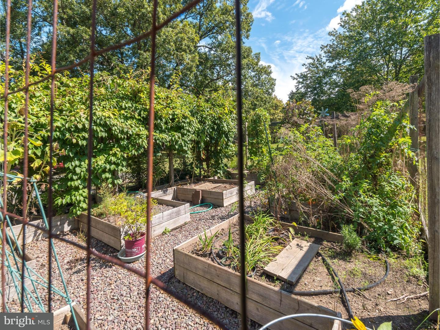 105 Municipal Road Pipersville, PA 18947 - Photo 25 of 25 Garden