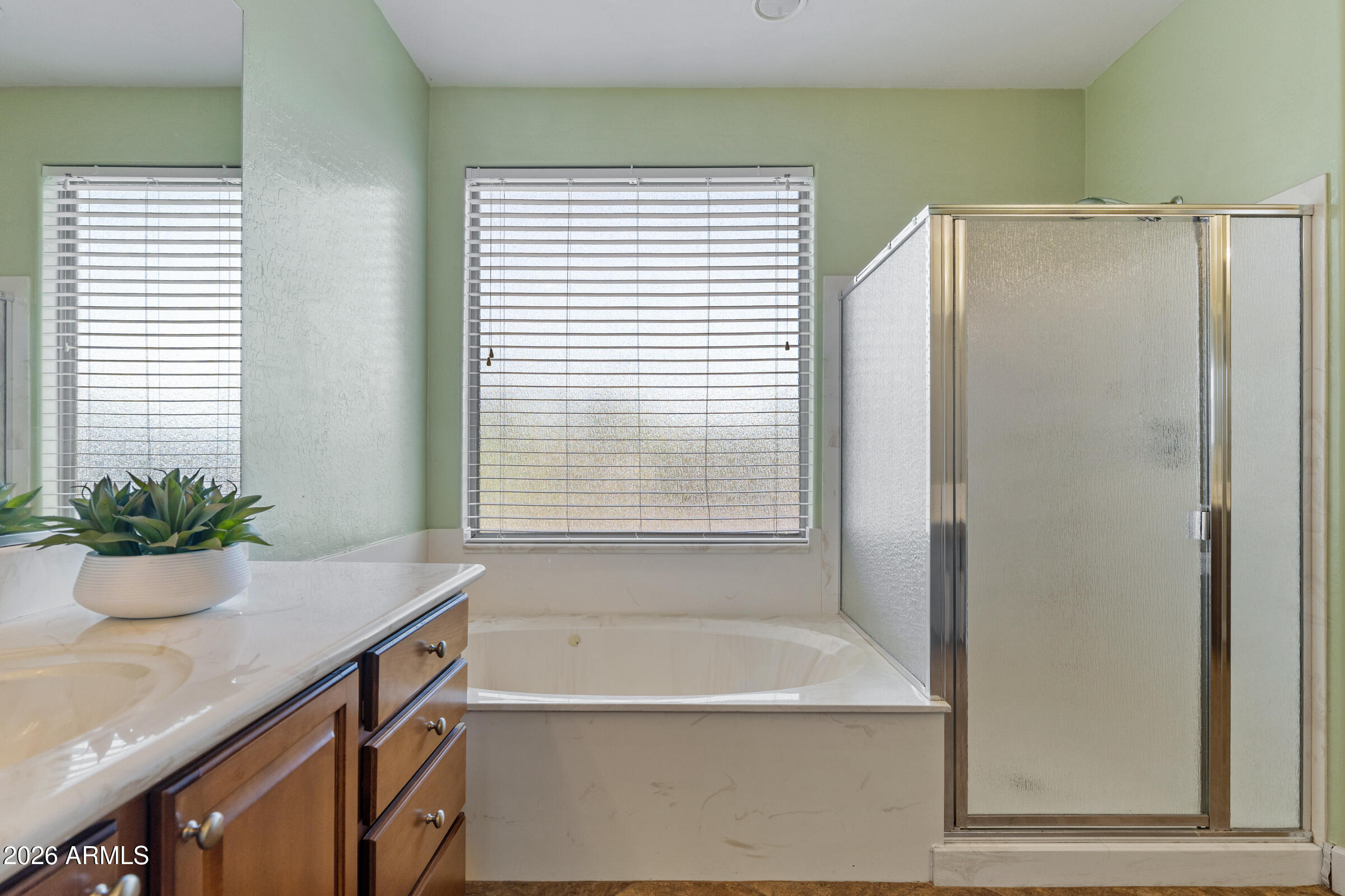 1341 East Macaw Court Gilbert, AZ 85297 - Photo 28 of 49 a bathroom with a tub sink and mirror