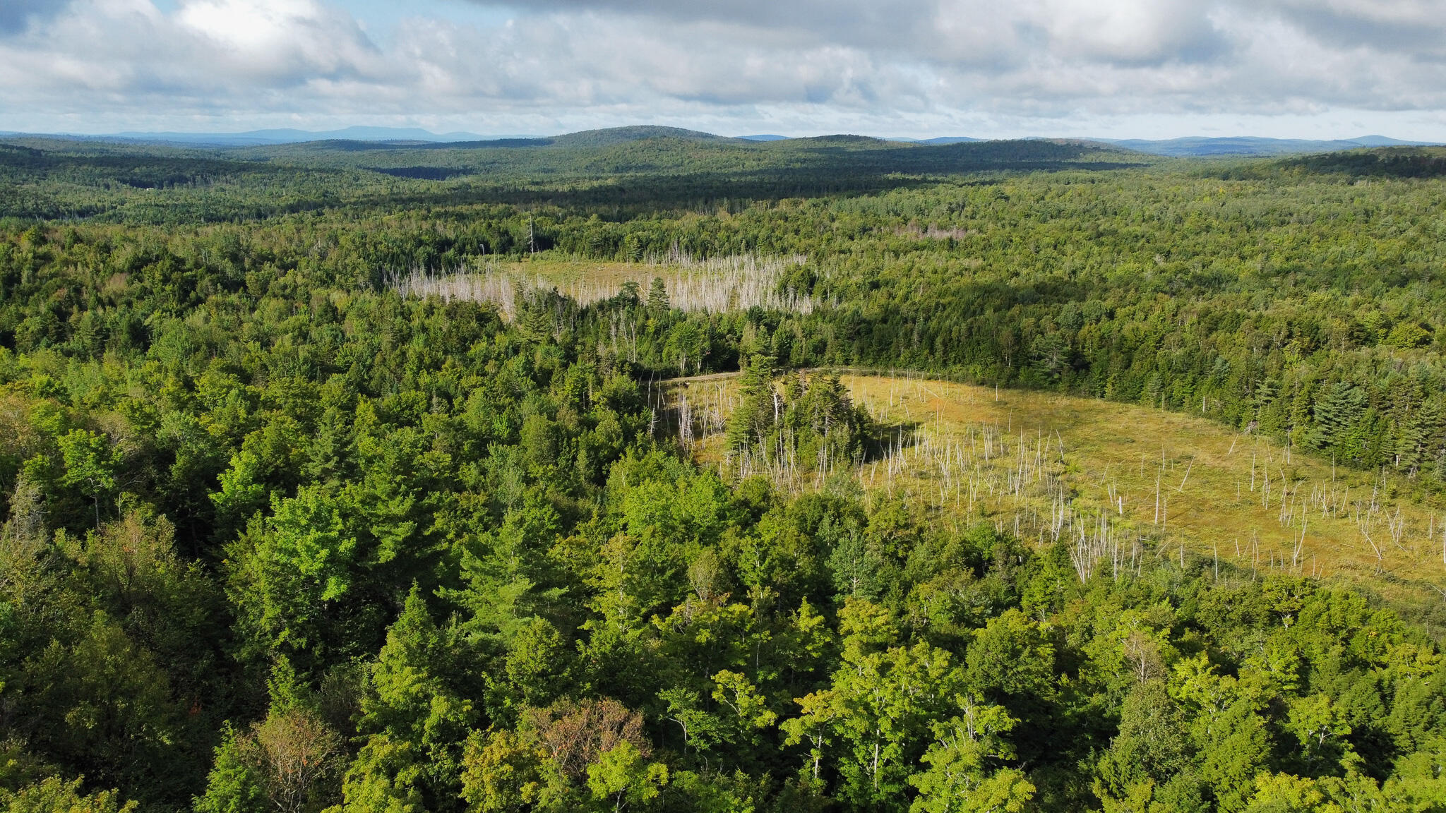 Lot 8-9 Moores Road Springfield, ME 04487 - Photo 5 of 22 5