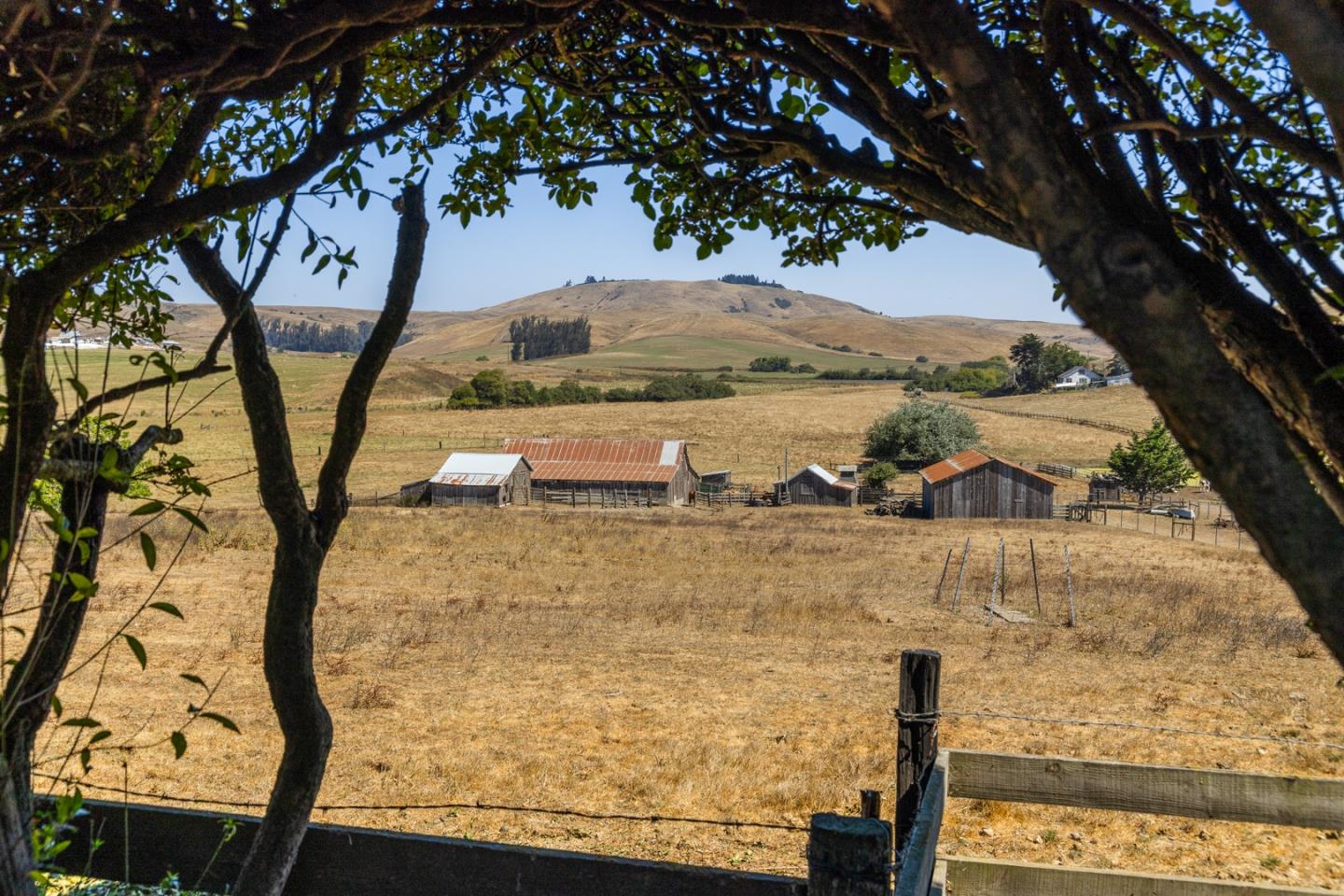 14550 Valley Ford Estero Road Valley Ford, CA 94972 - Photo 11 of 41 a view of a lake with a tree