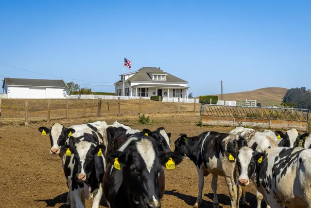 $1,495,000 | 14550 Valley Ford Estero Road, Valley Ford, CA 94972