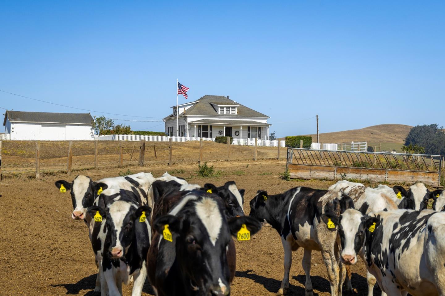 14550 Valley Ford Estero Road Valley Ford, CA 94972 - Photo 41 of 41 a view of a water with an outdoor seating