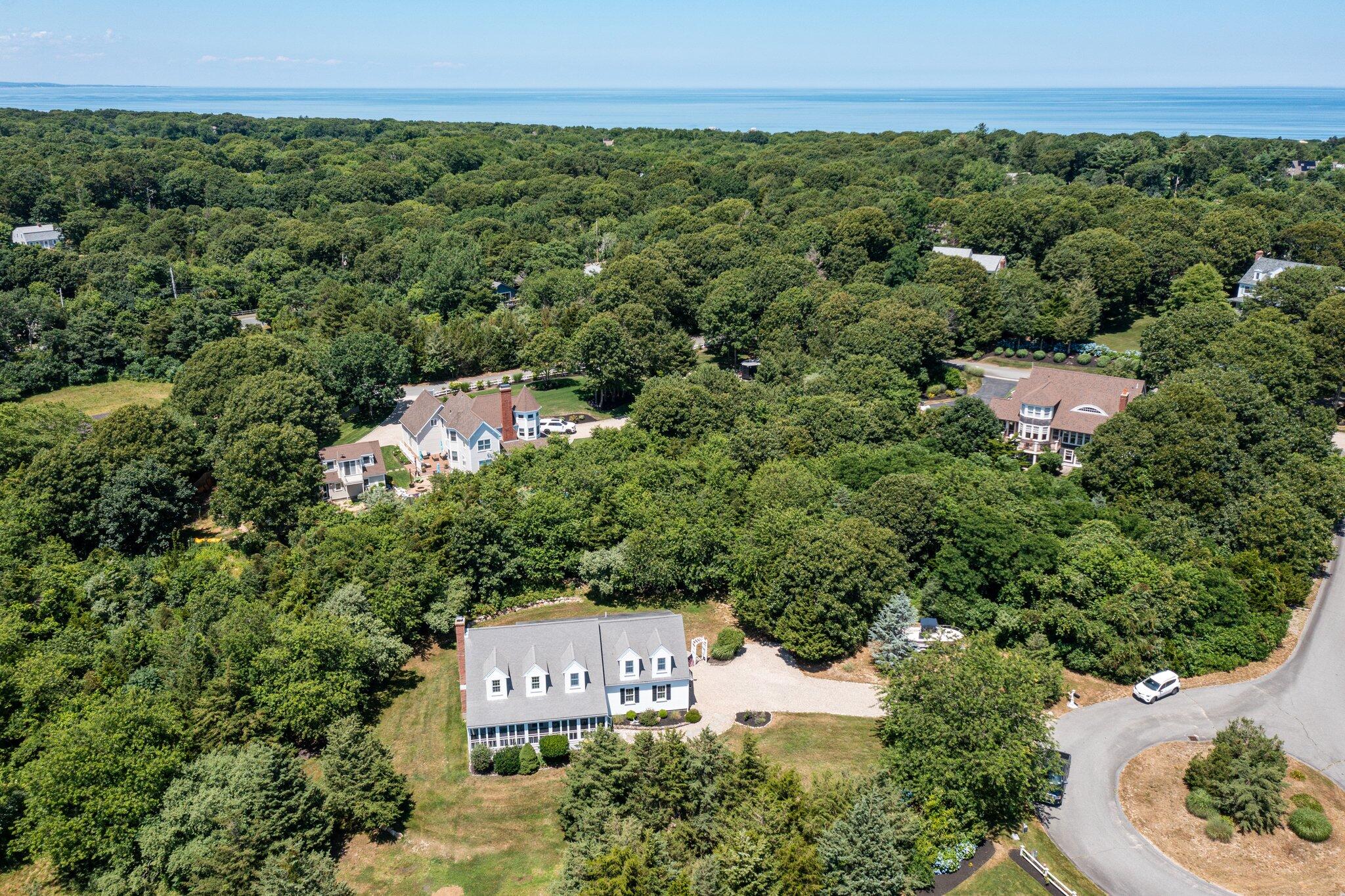 45 Briar Lane West Barnstable, MA 02668 - Photo 35 of 44 a view of a forest with a yard