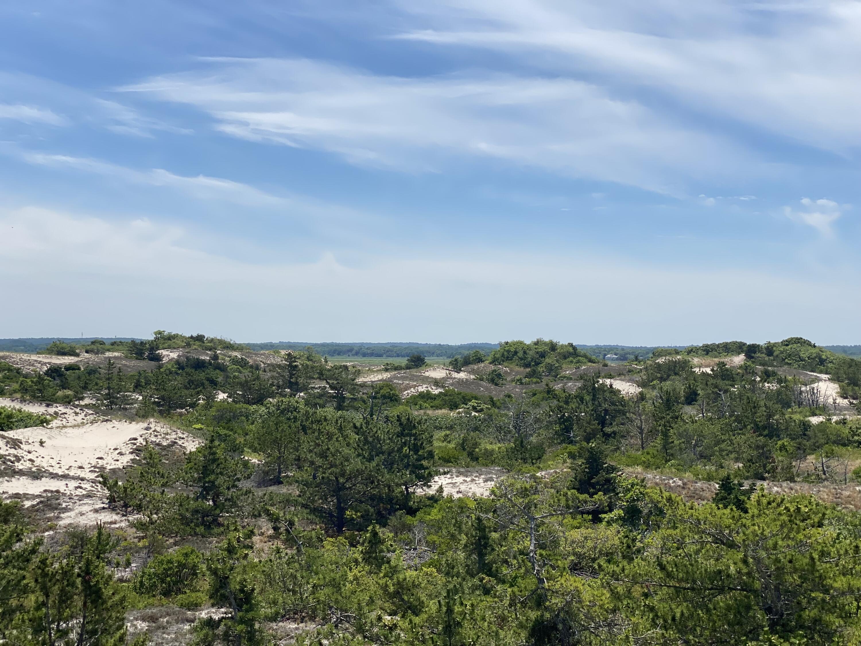 45 Briar Lane West Barnstable, MA 02668 - Photo 43 of 44 an aerial view of residential building and trees around