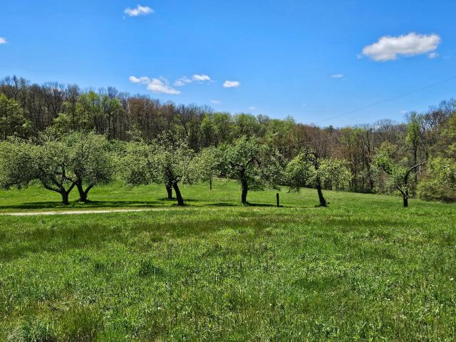 292 Shanley Road Tidioute, PA 16351 - Photo 9 of 15 Gallery Image 9