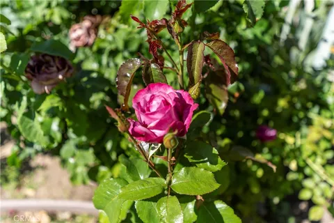 $1,799,000 | 7608 Penobscot Drive, West Hills, CA 91304