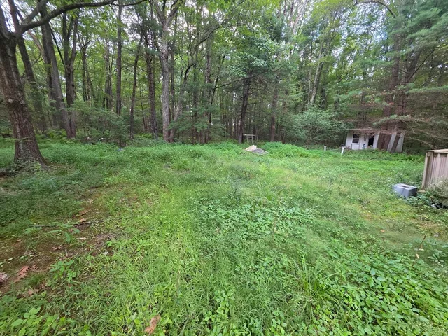 a view of a backyard with large trees