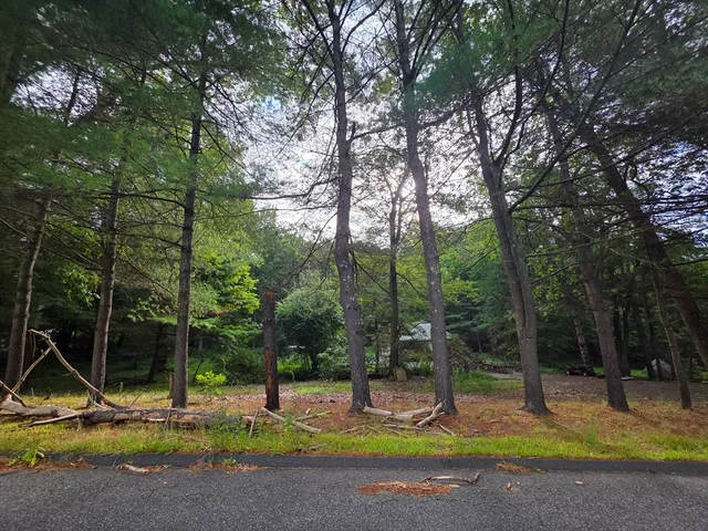 a view of park with large trees