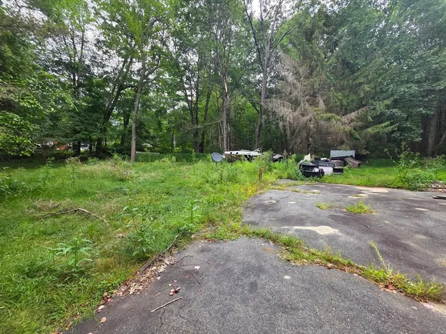 a view of backyard with green space and trees