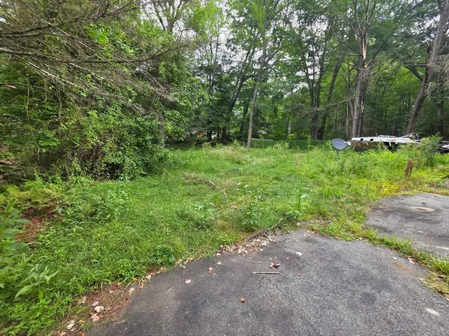 a view of outdoor space and yard