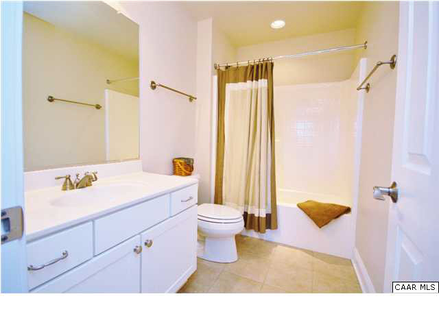 79 Ridgeview Drive Ruckersville, VA 22968 - Photo 21 of 29 a bathroom with a sink a toilet and shower