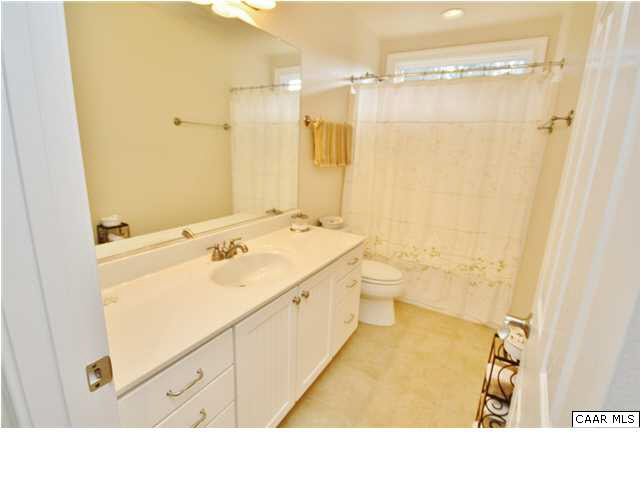 79 Ridgeview Drive Ruckersville, VA 22968 - Photo 23 of 29 a bathroom with a sink a toilet and shower