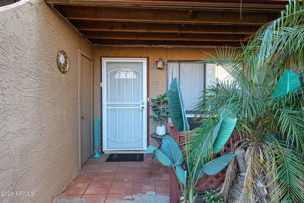 a view of a potted plants in front of a door